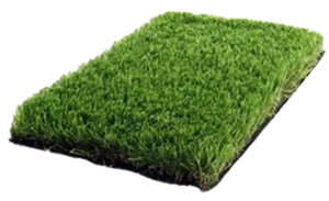 Esempio di terra Newland, ideale per animali domestici